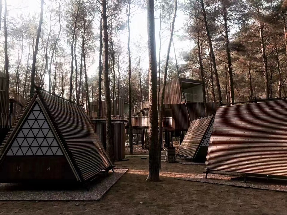 1670222744276305.jpg 2dabcbb5af59541aa56645696ef394d2.jpg