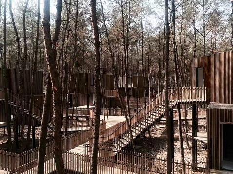 1670222762870722.jpg 3d2def7c18c4c9ee84e7b21d11f4c8e2.jpg