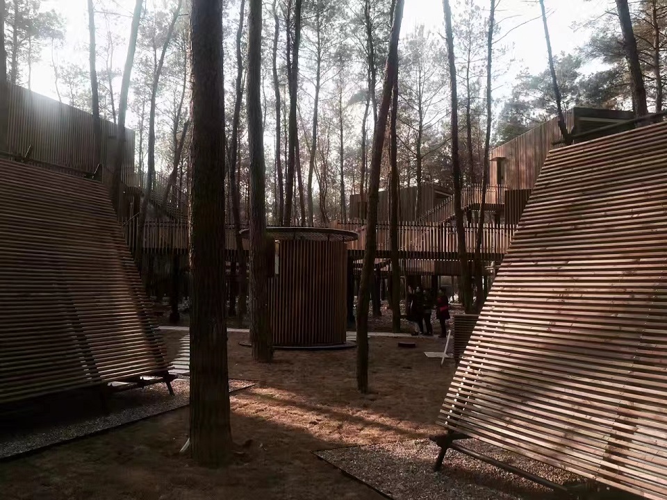 1670222777680484.jpg 38f9b5e7e29f3141b46e304bced9d6e2.jpg