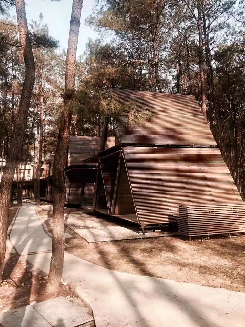 1670222790146827.jpg 81fb599e68a1b2a2f62c2c7afdb72cd2.jpg