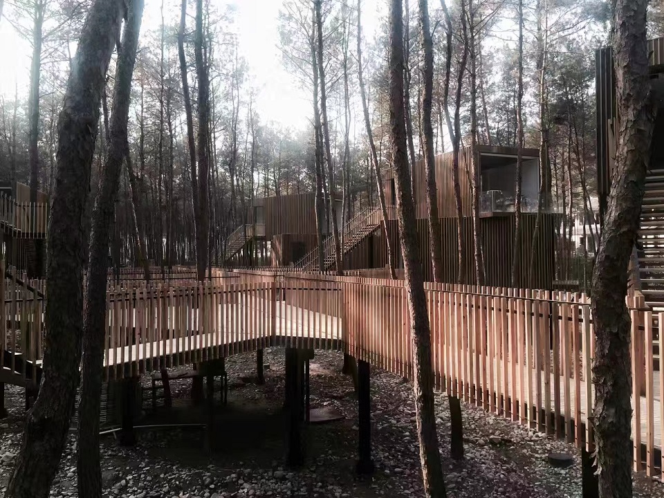 1670222804131472.jpg d91c0b4a69e82a5c76024fc2ada8f0e2.jpg