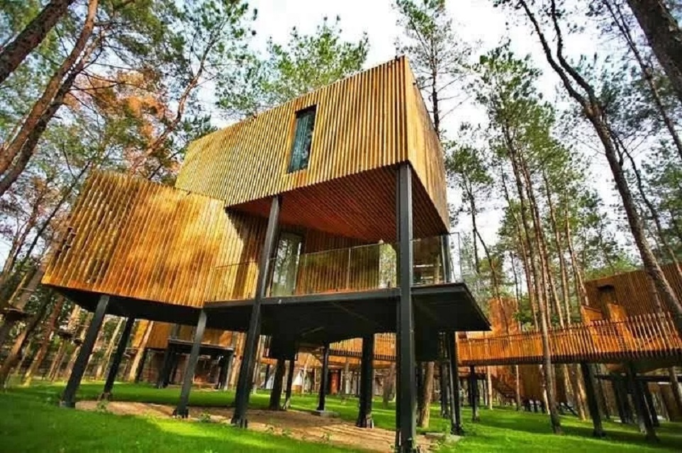 1670223089210087.jpg 16419491183009532.jpg