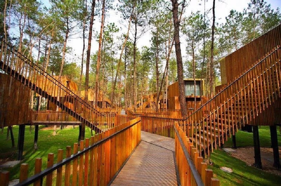 1670223176564701.jpg 16419491189487702.jpg