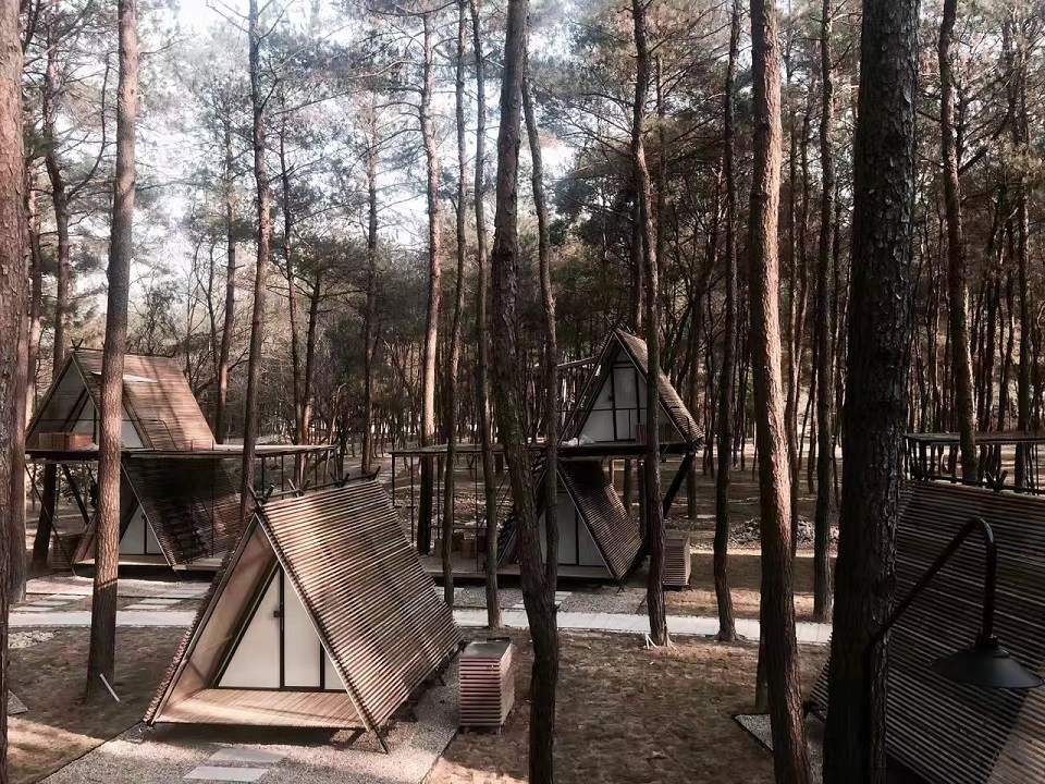 1670304858498501.jpg 13c8274fdaf9fbe3ef1fce1b5e3ae442.jpg