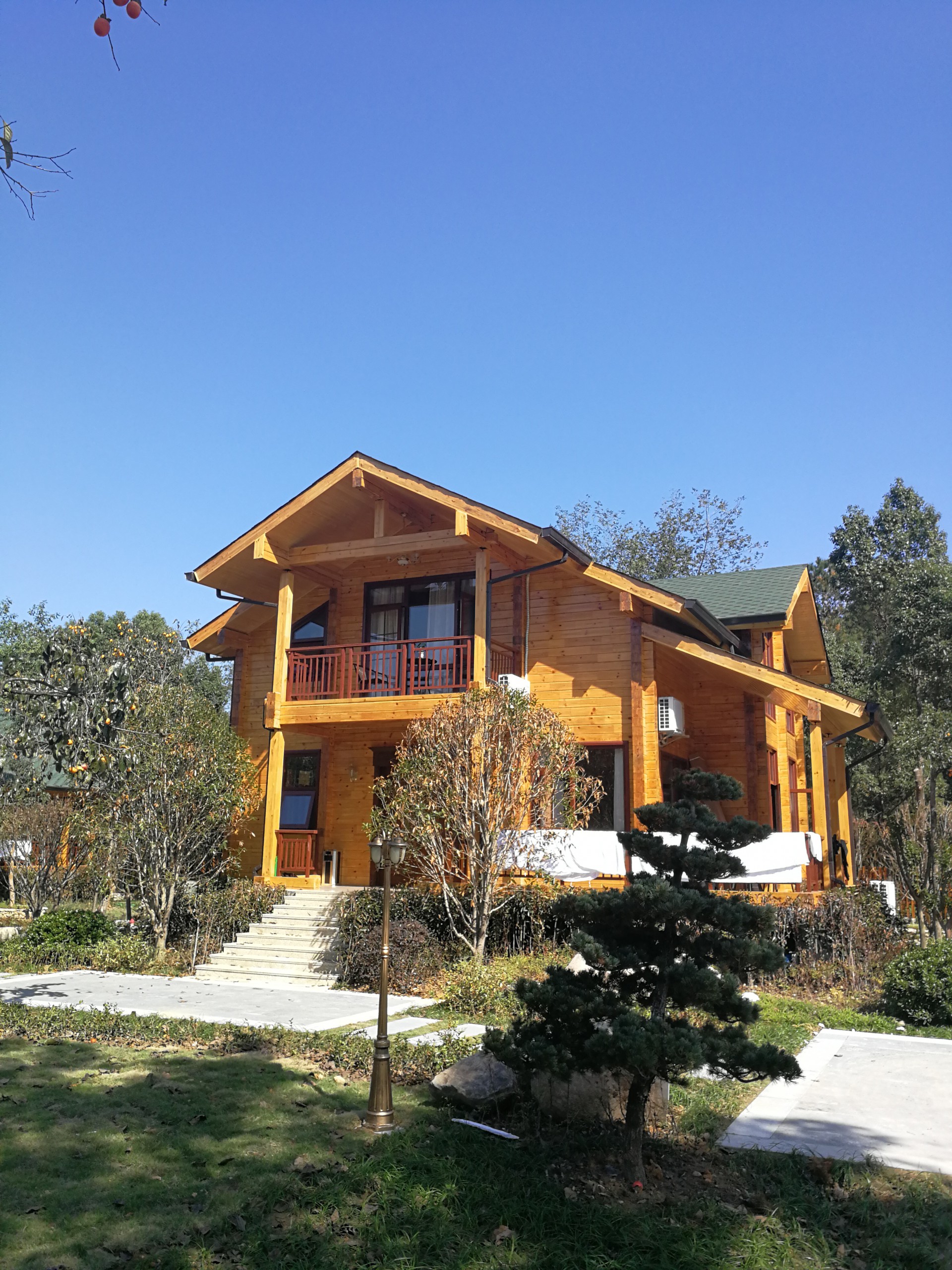 1675993586136527.jpg 1675993586136527.jpg