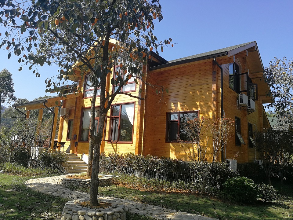 1675993701821130.jpg 16420623823534372.jpg