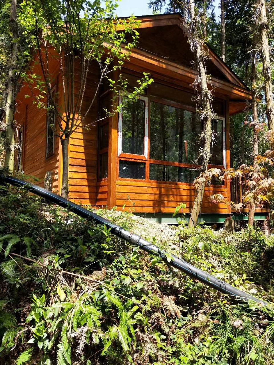 1676006814823708.jpg 16420551872801572.jpg